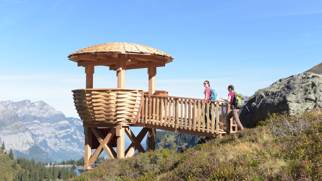 Bild der Mettmenalp