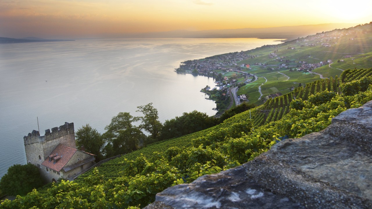 Bild von Puidoux.