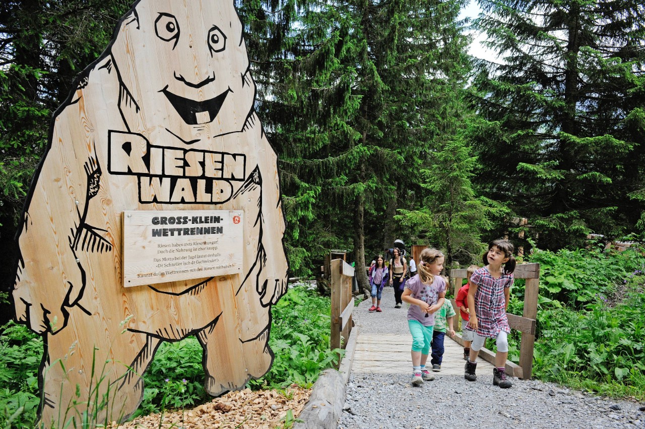 Bild des Riesenwalds