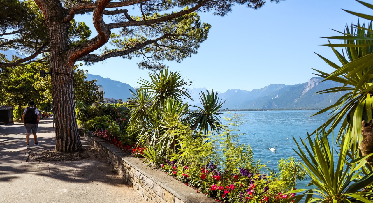 Eine begrünte Promenade, rechts davon der See.