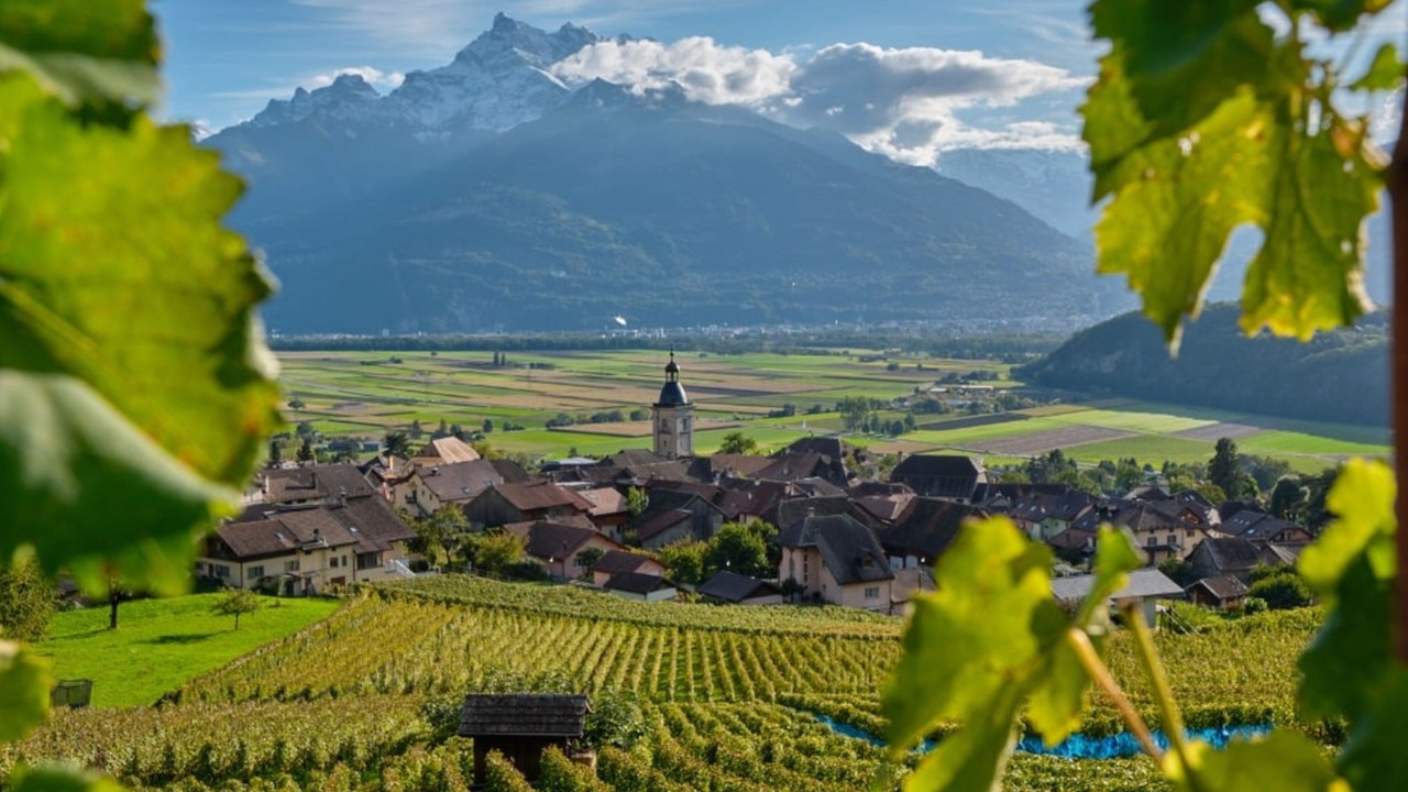 View of a village with vineyards in Chablais.